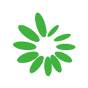 在线精品国精品国产不卡